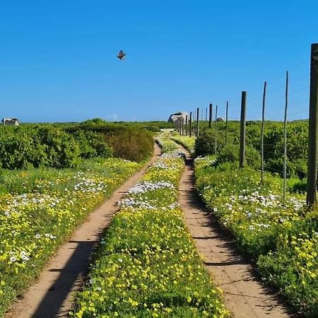 Seagulls Guest House Langebaan Exterior photo