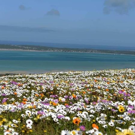 Seagulls Guest House Langebaan Exterior photo